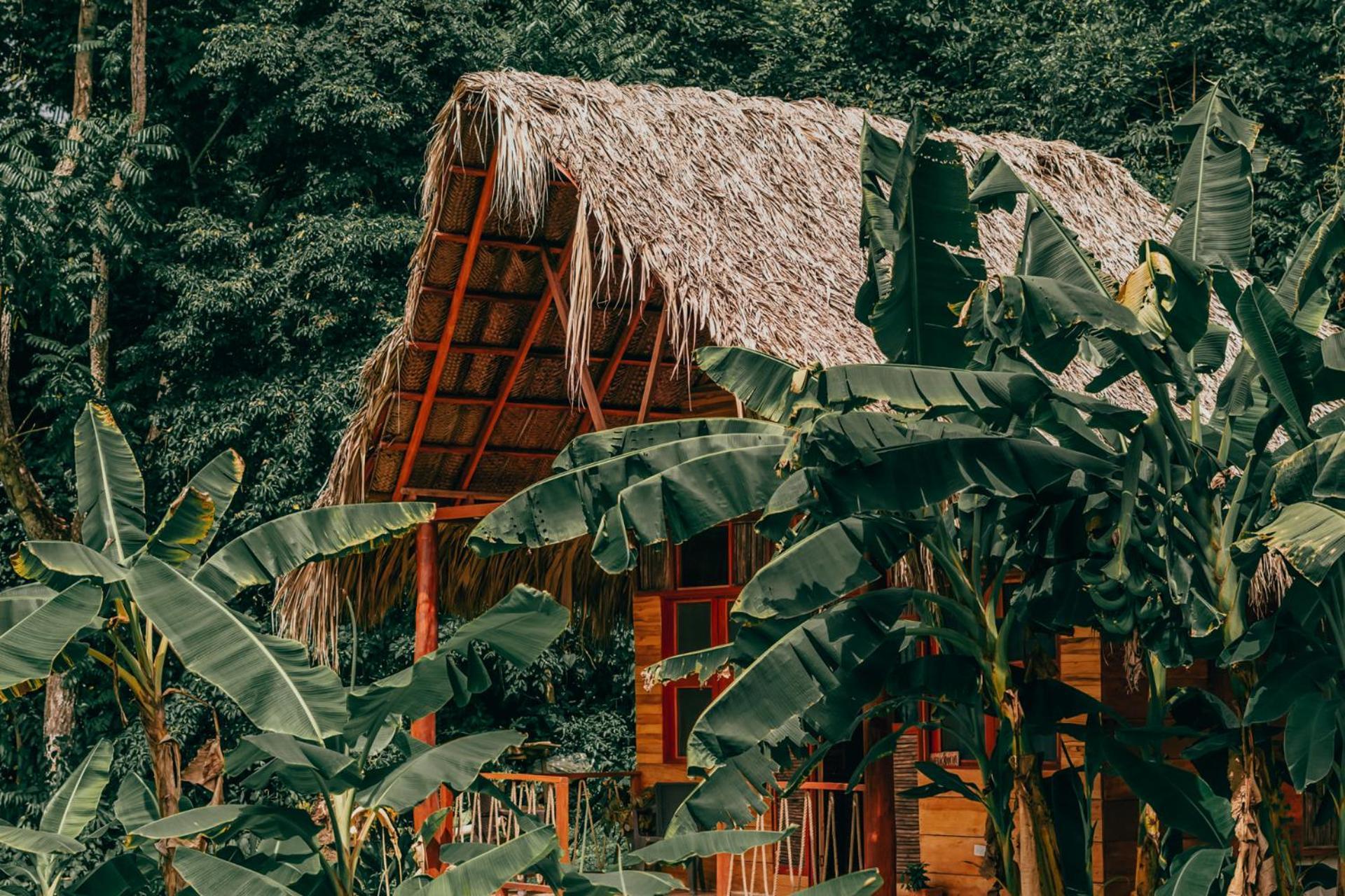 Magic Green Dentro Del Parque Tayrona El Zaino Zewnętrze zdjęcie