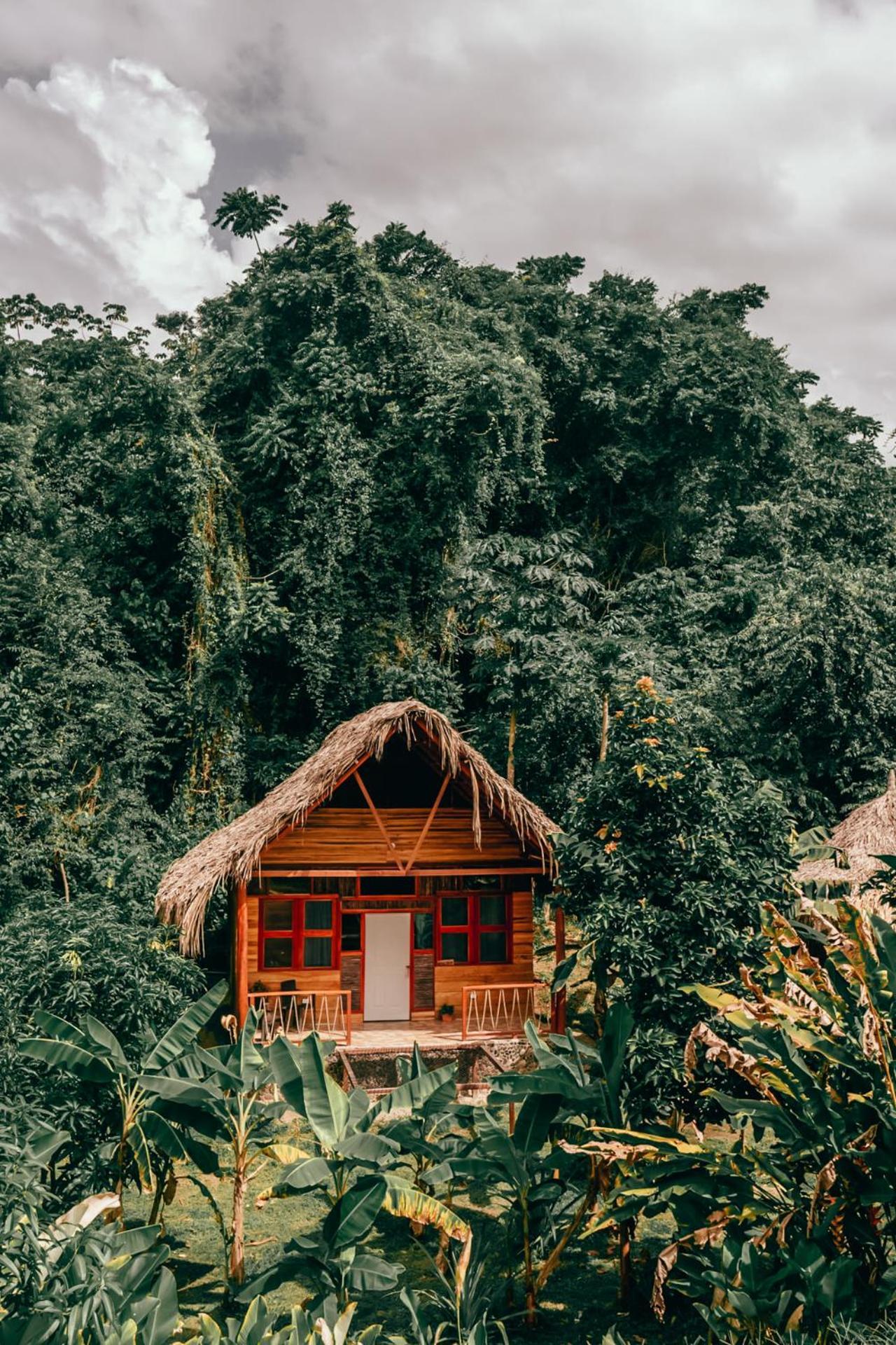 Magic Green Dentro Del Parque Tayrona El Zaino Zewnętrze zdjęcie
