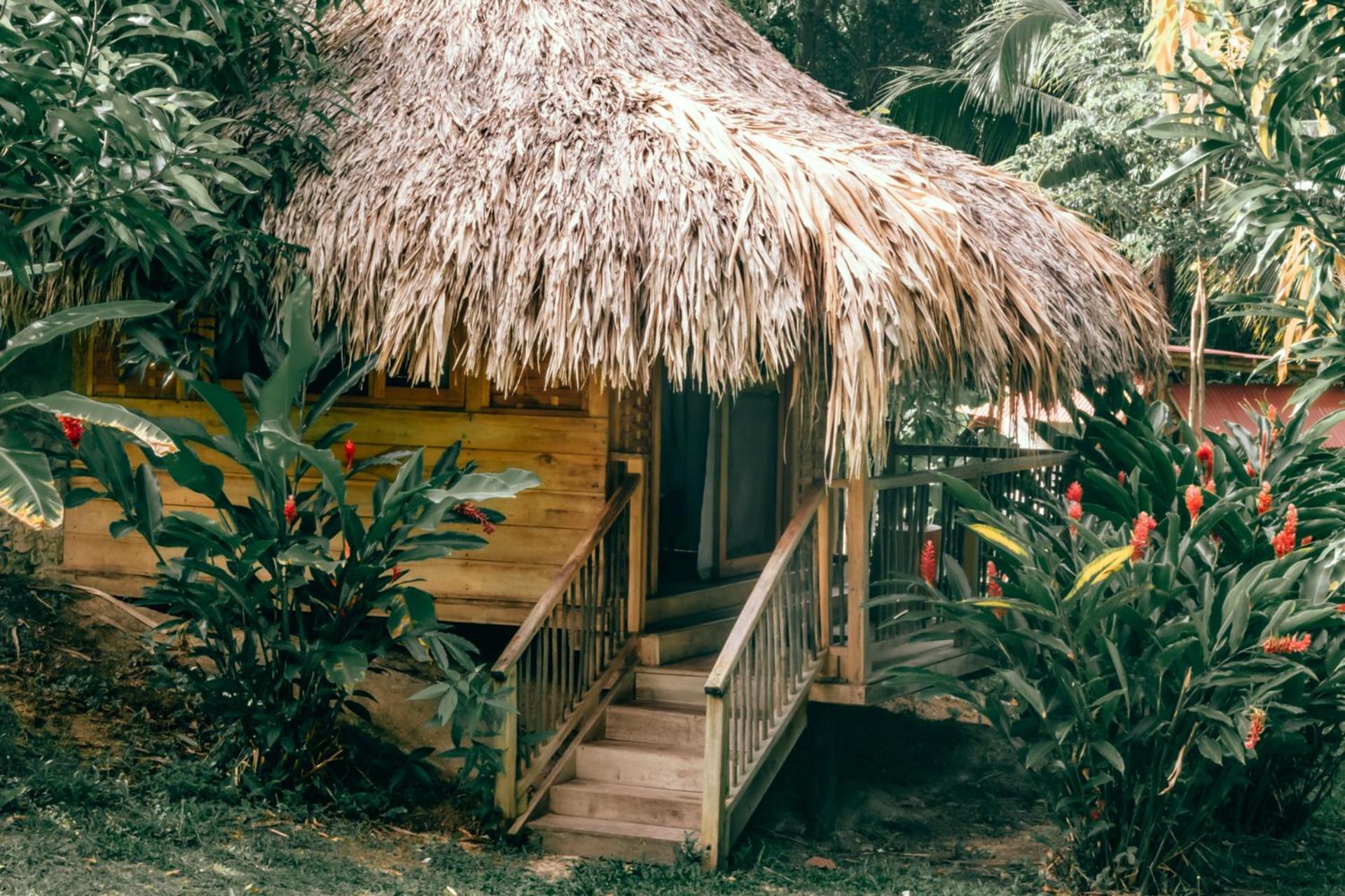 Magic Green Dentro Del Parque Tayrona El Zaino Zewnętrze zdjęcie