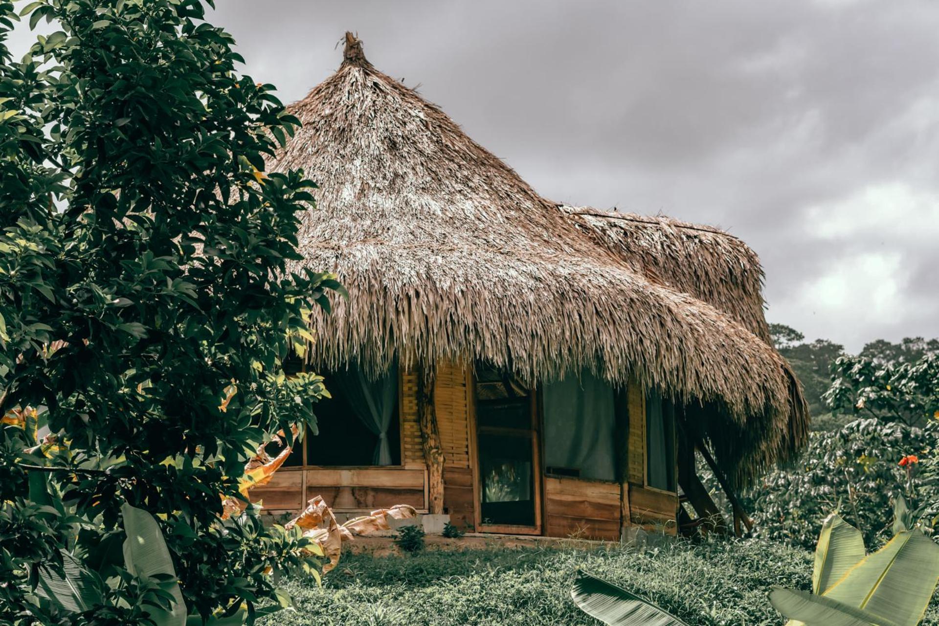 Magic Green Dentro Del Parque Tayrona El Zaino Zewnętrze zdjęcie