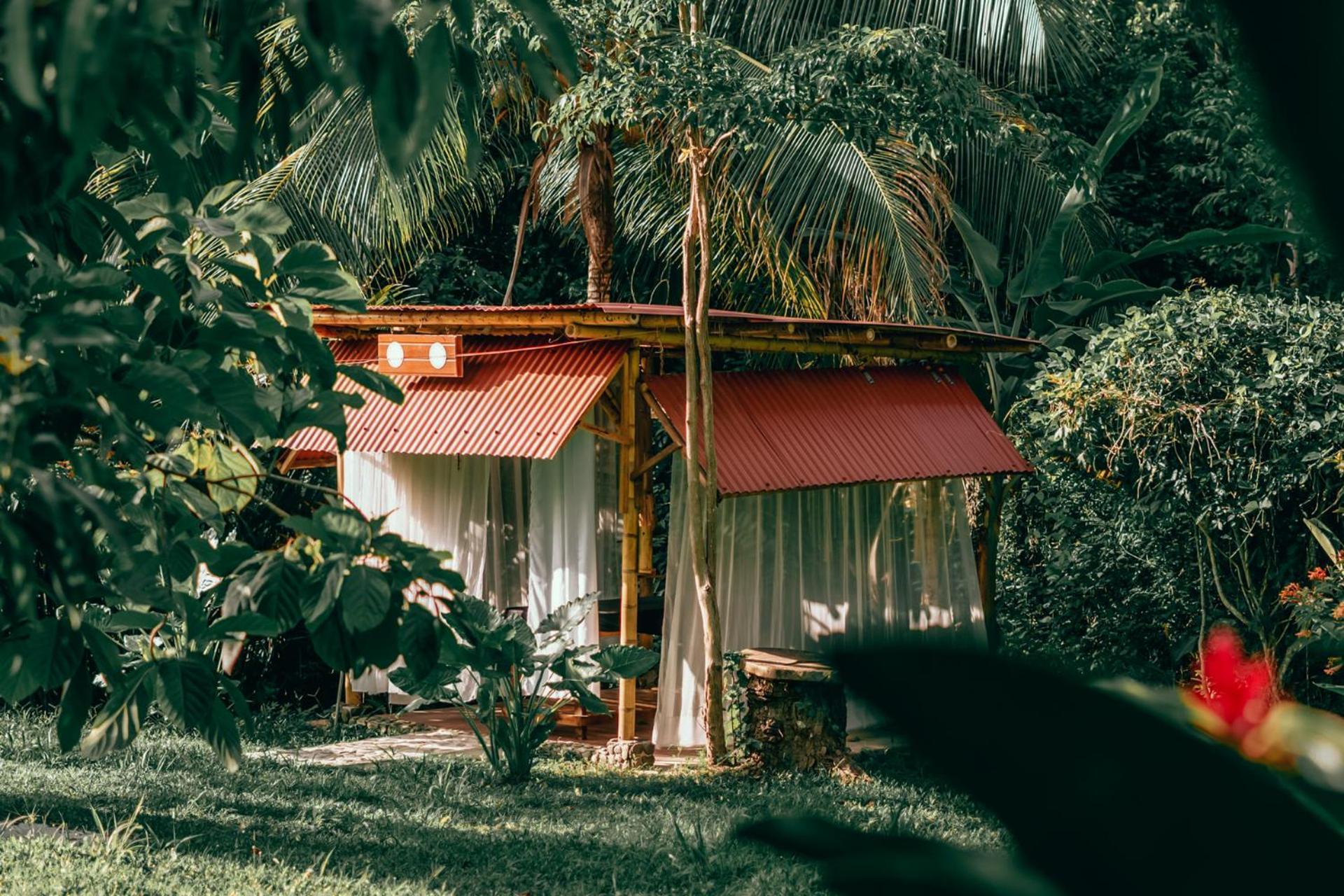 Magic Green Dentro Del Parque Tayrona El Zaino Zewnętrze zdjęcie
